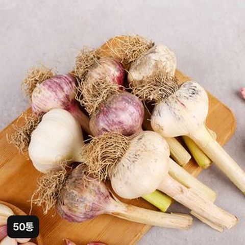 창녕 햇 마늘 50통+마늘망 1개