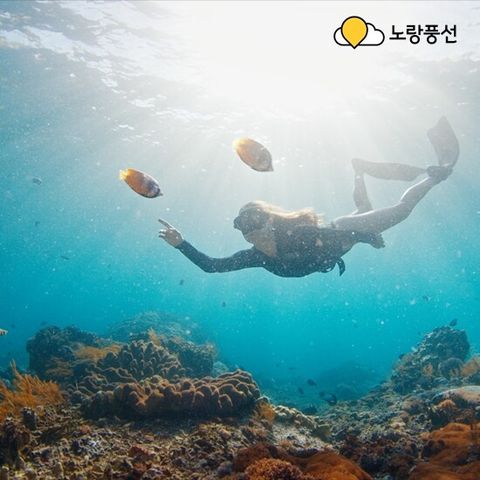 [대한항공]방콕 파타야VS치앙마이 5일 패키지