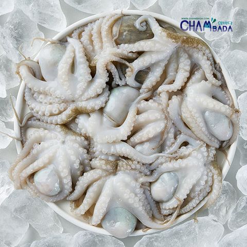 참바다 만능통쭈꾸미 600g(20미) 5팩+만능소스 50g 5팩