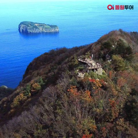 [★올원투어]울릉도+독도 포항항 출발 대형크루즈 3박4일 499천원부터