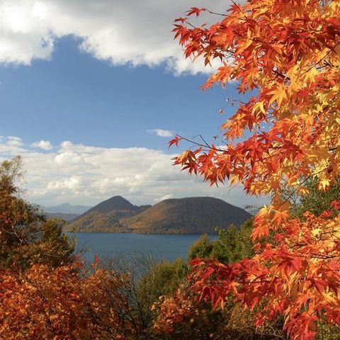 [상담예약] 참좋은여행 북해도 4일 패키지