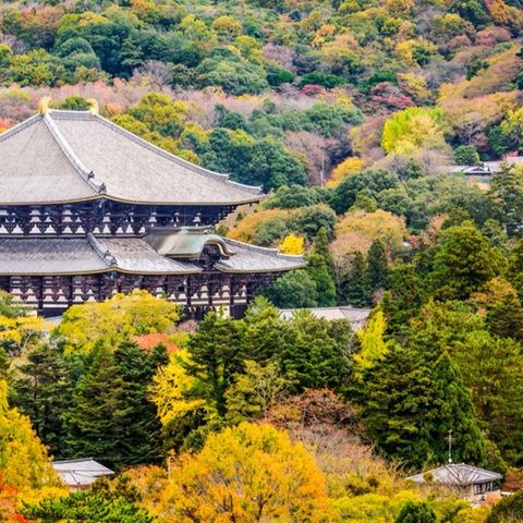 노랑풍선 도쿄vs오사카 핵심코스 4일