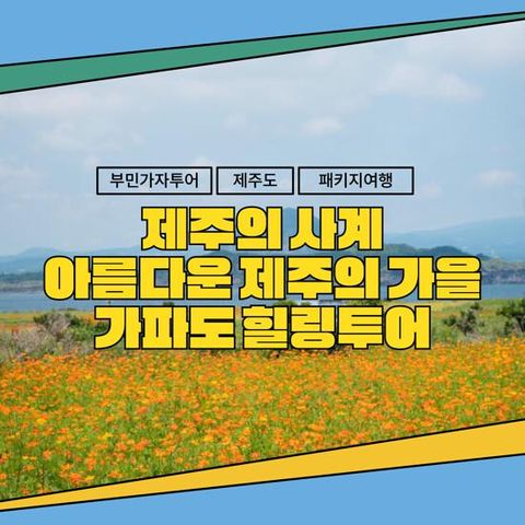 [부민가자투어] 제주도+가파도 가을 패키지 3박 4일