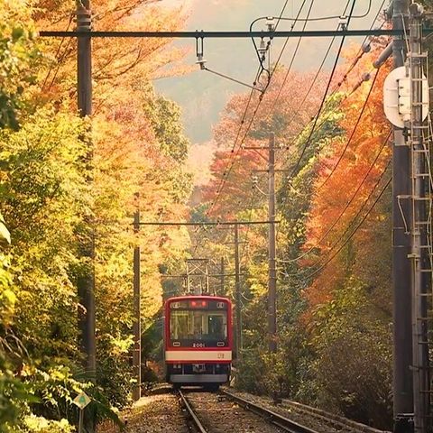 [상담예약] 참좋은여행 동경 3/4일 패키지