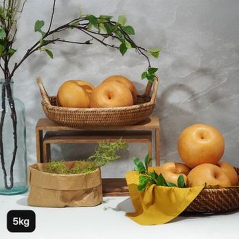 아리팜 특등급 나주배 5kg (선물용)+보자기 1개