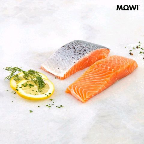 [MOWI]항공직송 노르웨이 생연어 횟감용 250g x 1팩 + 스테이크용 250g x 1팩(총 500g)
