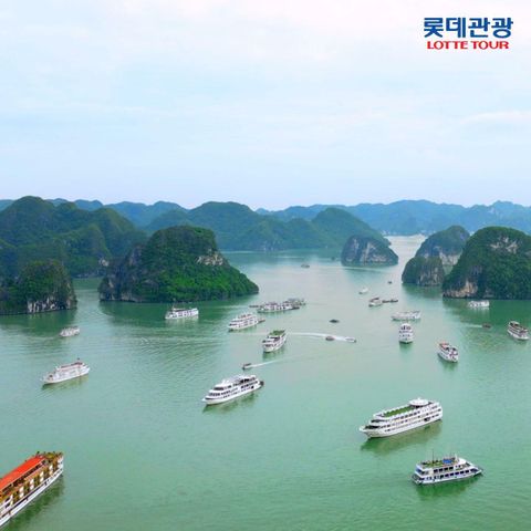 [여행의신세계]롯데관광 하노이하롱베이 5일 특집전, 대한항공 직항