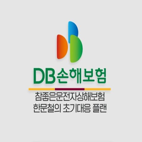  DB손해보험 (무)프로미라이프 참좋은운전자상해보험 (사은품 : 자동충전 에어매트 )