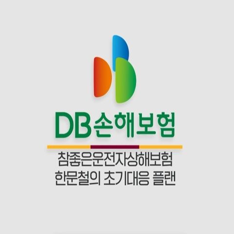  DB손해보험 (무)프로미라이프 참좋은운전자상해보험 (사은품 : 포트메리온 대형트레이1P + 머그3P )