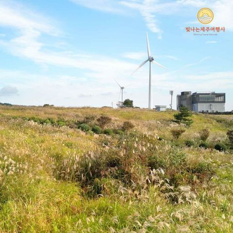 [★빛나는제주]제주도 3박4일 19만9천원단일가, 항공+호텔3박+식사7회