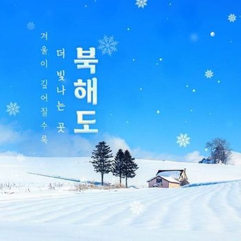 (호텔디너 2회+무제한대게 2회)교원투어 북해도 온천여행 완전일주 4일