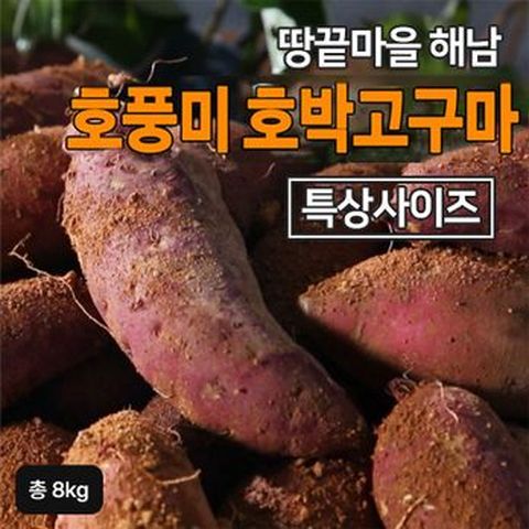 2025 햇 해남 특등급 호박고구마 4kg+4kg