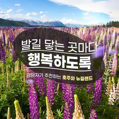 [극성수기 초특가 좌석 긴급 확보] NO옵션 호주+뉴질랜드 11일 #설연휴 여행 가능 #가격 비교 필수