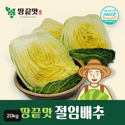 (HACCP 인증)(11월 지정일배송) 땅끝맛 해남 절임배추 20kg (7~9포기)