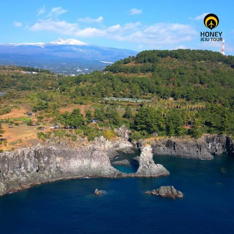 [★허니제주]제주도 3박4일, 항공+호텔3박+식사7회 199천원 부터