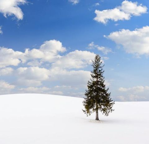 [상담예약] 참좋은여행 북해도 4일 패키지_레이크뷰 호텔