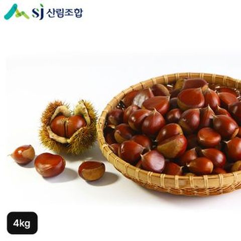 25년산 충주 햇밤 대 4kg