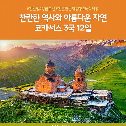 노랑풍선 코카서스 12일 #월드체인2박 # 11대 특식