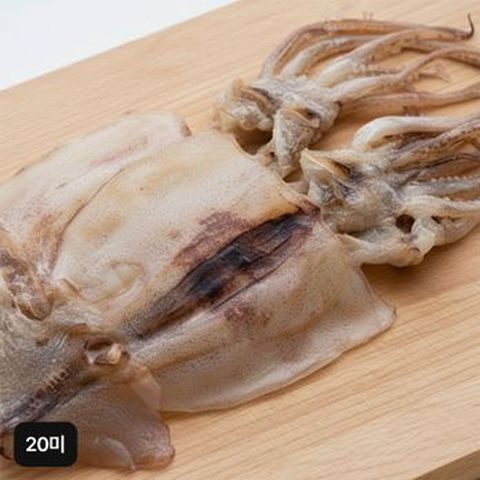 구룡포 반건조 오징어 20미 (10미X2팩)