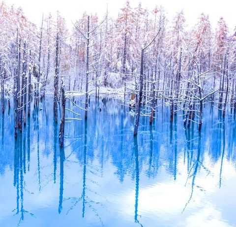 [상담예약] 참좋은여행 북해도 4일 패키지_아시아나항공