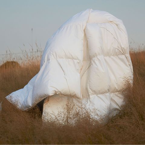 (수정샵) [노르딕슬립] 덴마크 직수입 이불 Q (한겨울용)