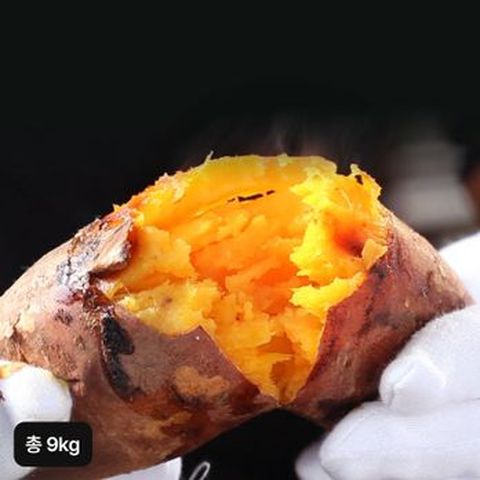 25년 햇 특등급 해남 꿀고구마 4.5kg+4.5kg (총 9kg)