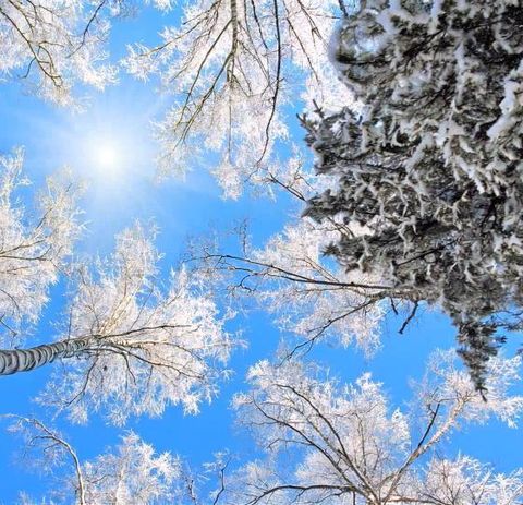 [상담예약] 참좋은여행 북해도 4일 패키지