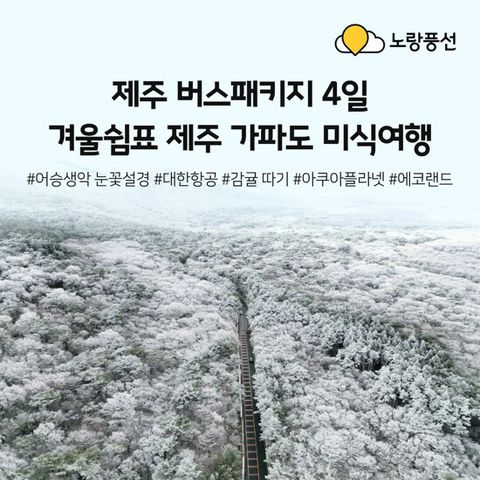 [노랑풍선] 겨울 제주 프리미엄 패키지 3박 4일 (대한항공+가파도+아쿠아플라넷+전일정식사)