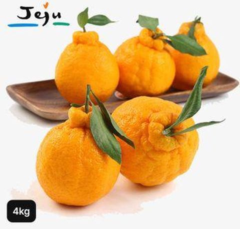 햇 제주한라봉 4kg