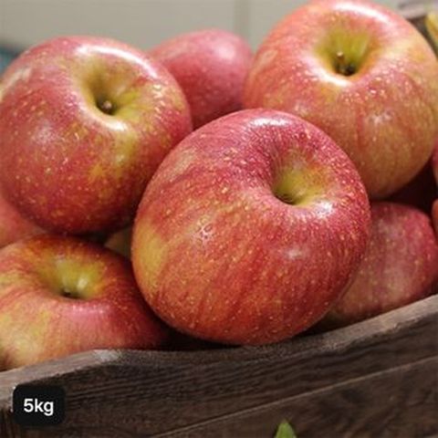 경북 참좋은 못난이 사과 5kg
