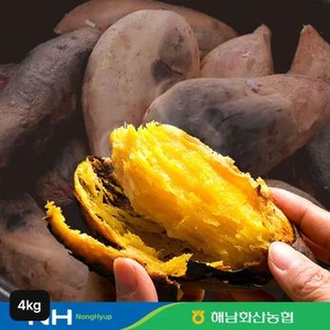 화산농협 해남 햇 꿀고구마 4kg(특상)