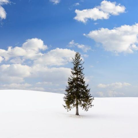 [상담예약] 참좋은여행 북해도 4일 패키지