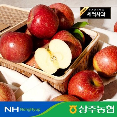 [농협][25년 수확][햇 부사] 블랙라벨 세척사과 5kg(총 19~24과)