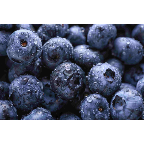 칠레산 생 블루베리 125g x 12팩 (총 1.5kg) (3)