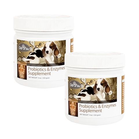 데이스포 에이치시리즈 장 영양제 250g x 2개