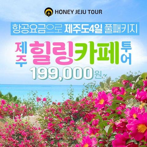 [허니제주] 제주도 3박 4일 힐링카페투어 윈터 패키지 (전일정식사+카페음료 포함)