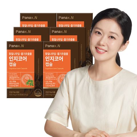 두뇌 건강 인지코어 캡슐 6박스(6개월분) 황칠나무잎 줄기추출물