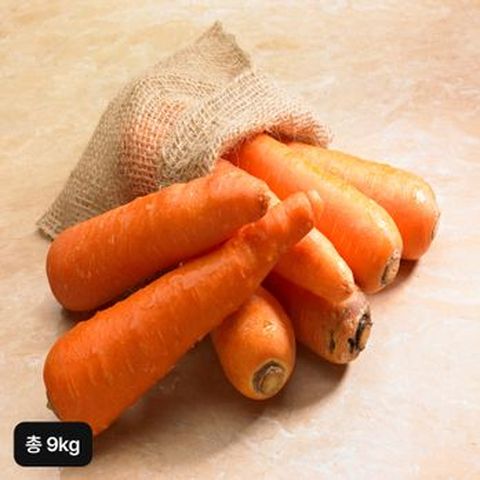 햇 제주구좌 세척당근 4.5kg+4.5kg (총 9kg)
