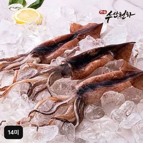 (방송에서만 2팩 더)수산천하 더 커진 국내산 손질 통오징어 14미