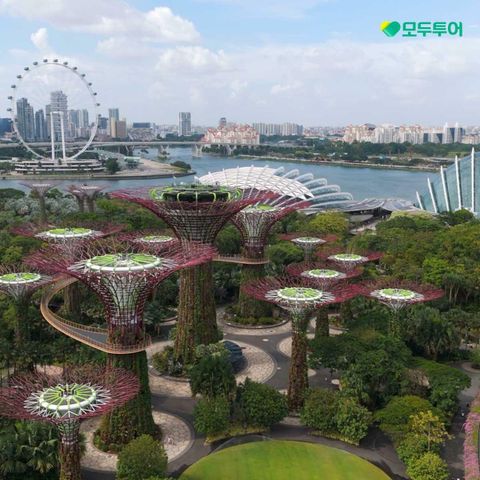 [*특집전]모두투어 싱가포르! 항공+월드체인호텔+식사+관광+No단체쇼핑+가이드경비포함 799,000원부터