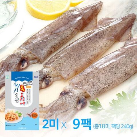 [유성] 국내산 손질통오징어 240g×9팩, 총 18미 (팩당2미)