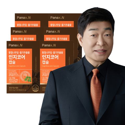 파낙스엔 인지코어 6개월분