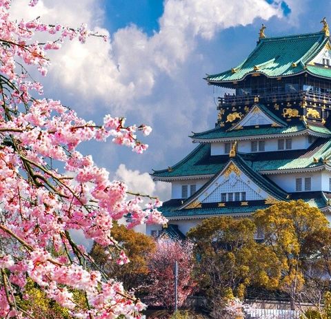 [상담예약] 참좋은여행 오사카 4일 패키지