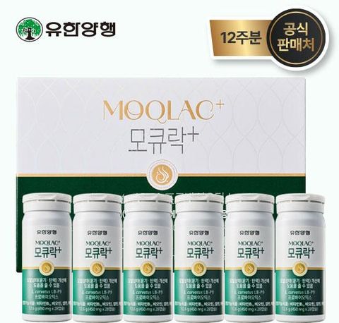 [모발특허유산균] 모큐락 플러스 LB-P9 와이즈바이옴 24주분