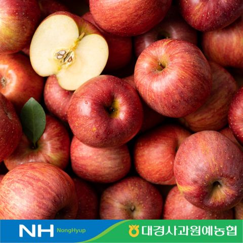 햇살듬뿍 봉화세척사과 3kg(12-16과)*2박스 총6kg