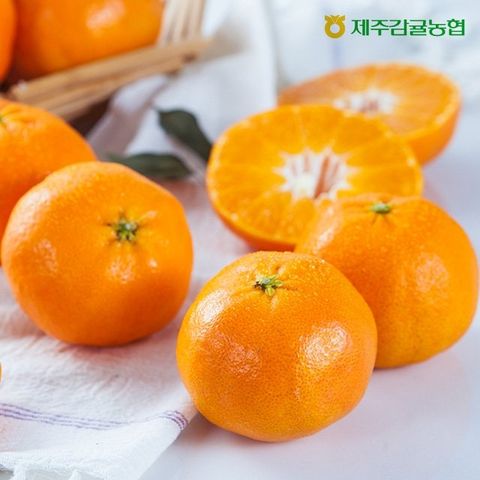 2026 특등급 제주감귤농협 햇 레드향 3kg