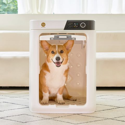 페페 업그레이드 펫드라이룸 DR-300PRO 강아지 고양이 애견