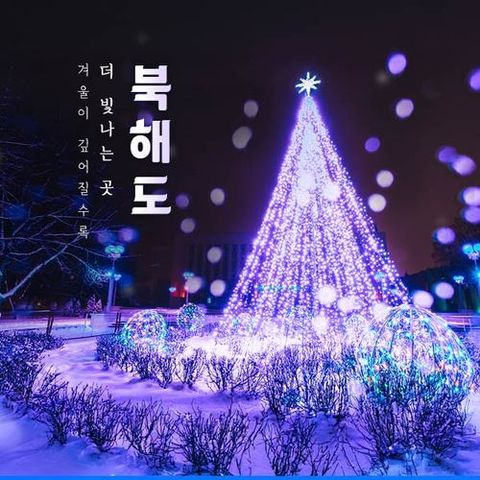 [대게 뷔페 2회] 프리미엄 북해도 3박4일 #온천호텔 2박 포함 전일정 4성급 품격 호텔