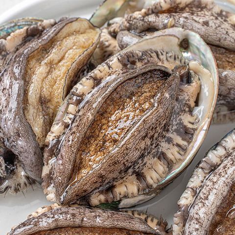 완도 활전복  총 1.4kg (14미, 미당 100g내외)