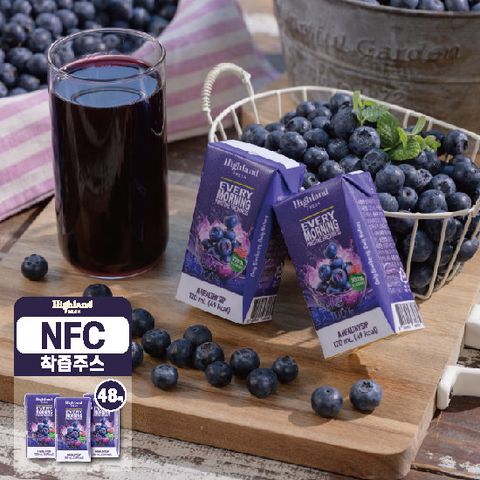 하이랜드 프레쉬 100% 블루베리 착즙 주스 48팩 120mL (무설탕 NFC)